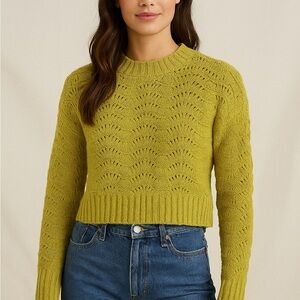 American Eagle Cropped Knit Sweater